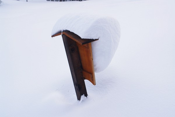 Eine Tafel mit Schnee-Rucksack erregt unsere Neugier