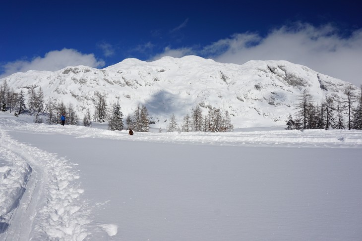 2. Ankunft auf der Tauplitzalm - Dieses Mal bei strahlendem Sonnenschein. Hundegbell der Bergrettungshunde vor dem Traweng.