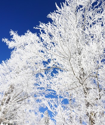 Prächtiges Schönwetter oberhalb des Nebels
