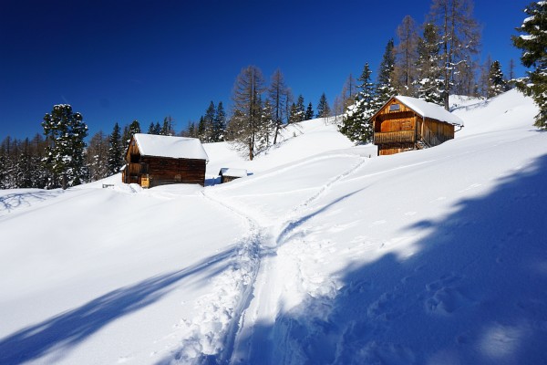 Handleralm / Hahnleralm