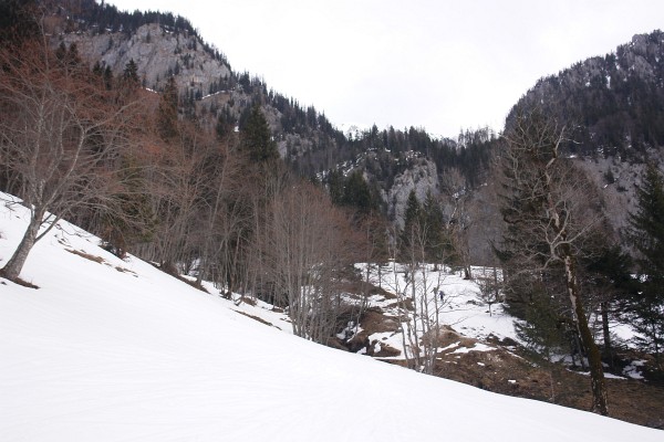 Vom Kölblwirt in Johnsbach führt die Route zunächst über Wiesen Richtung Heßhütte. Über kurze apere Passagen mussten die Schi getragen werden.