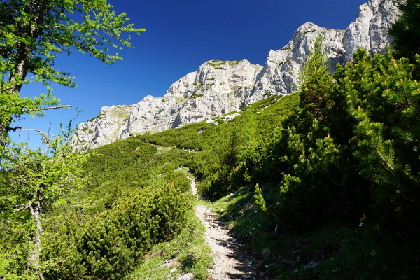 Viele Wege führen auf die Heukuppe