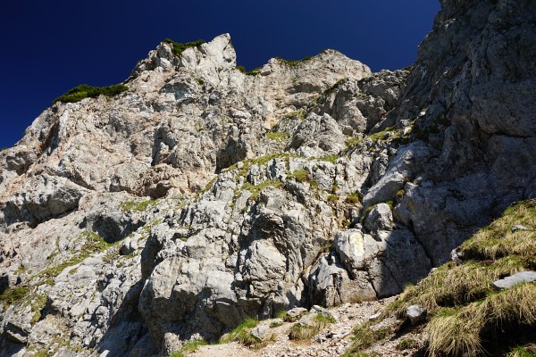 Der Felseinstieg - deutlich gekennzeichnet durch einen gelben Pfeil nach oben.
