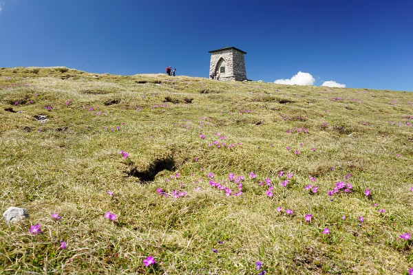 Das Gipfel-Bauwerk auf der Heukuppe - flankiert von zahlreichen Alpenblumen.