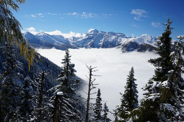 Blick zur Hochwildstelle - das Sattental liegt unter dem Nebel