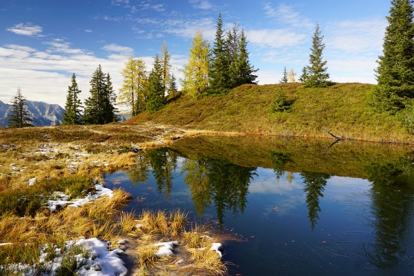 Lacke am Weg zum Mölbegg