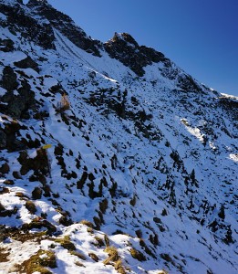 Schnee im steilen Nordhang
