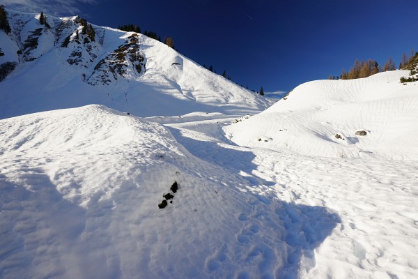 Im Almgebiet der Langpoltenalm