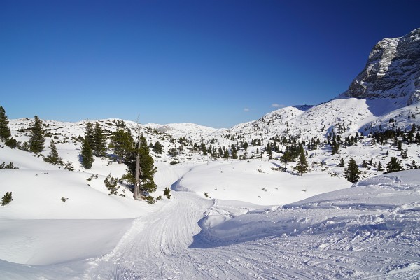 Abfahrt am Taubenkogel vorbei zur Gjaidalm.