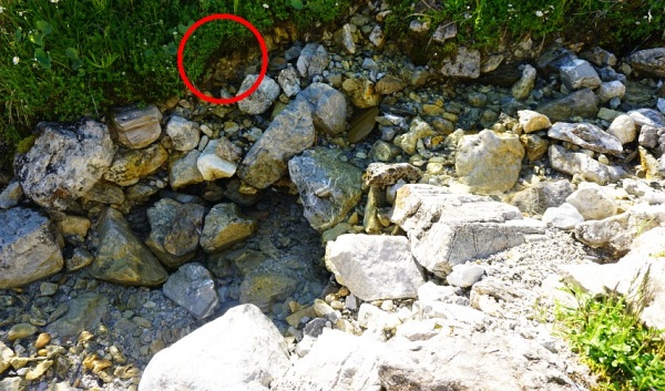 So klein und schon eine Enns. Aus diesem Loch tröpfelt die Enns heraus.
