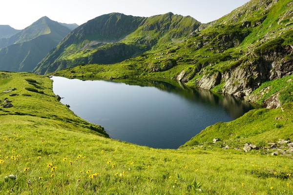 Beim Mittleren Kaltenbachsee verlasse ich den markierten Wanderweg, der im Bild nach rechts hinauf führt