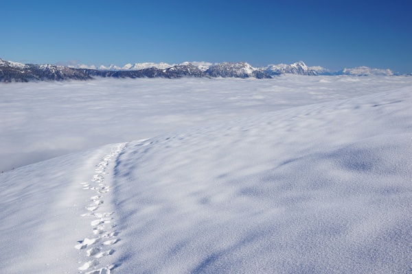 Die graue Nebeldecke und die bläulich leuchtende Scheedecke scheinen nahtlos ineinander überzugehen.