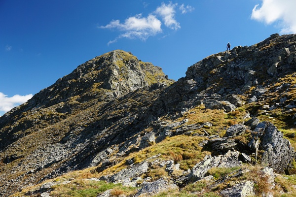 Am Weg zum Großen Gurpitscheck. Vor dem letzten Grataufschwung weicht der Steig nach links in den schattigen Bereich aus.