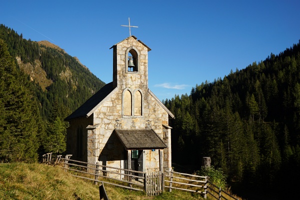 Vor der Rückkehr zur Kapelle bei der Muritzenalm machten wir noch einen kurzen Abstecher zum Naturdenkmal Kandelaberfichte