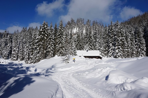 Mitte Jänner 2017 gibt es bei der Rahnstube genügend Schnee für Schitouren zum Hirzberg (nach links) oder zum Hochmühleck (nach rechts).