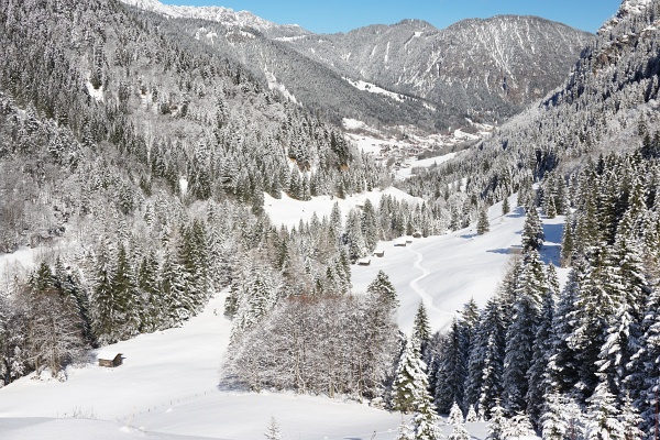 Zurück nach Brand. Rechts sind wir aufgestiegen, in der linken Bildhälfte werden wir entlang der Rodelbahn wieder absteigen.