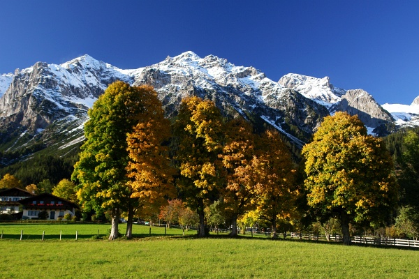 Aufnahme aus einem früheren Jahr: Scheichenspitze (links) - Hohe Rams (Bildmitte) - Eselstein (rechts). Ganz rechts auf der glatten Schneefläche befindet sich das Guttenberghaus.