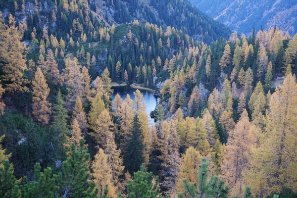 Beim Abstieg oberhalb des Landauersees zieht sich die Sonne nun rasch zurück und macht der einbrechenden Dämmerung Platz