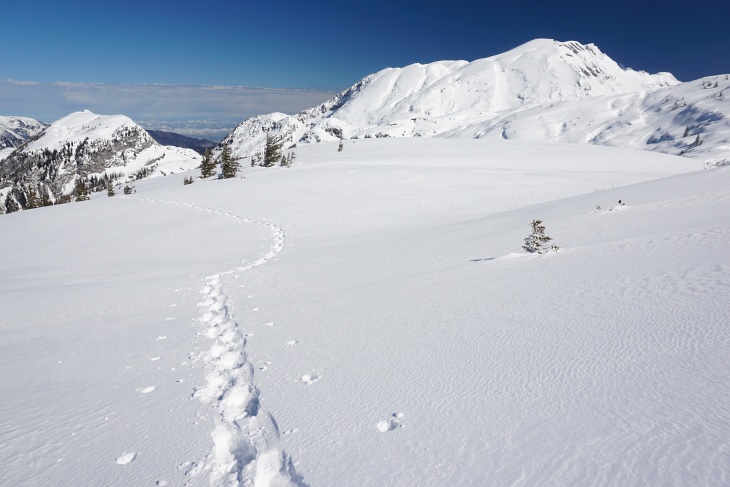 Aufstieg auf den Hinteren Raucher. Der Schönberg/Wildenkogel rechts hinten ist noch immer kein Thema