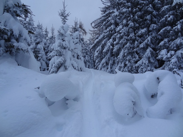 Auch bei suboptimalem Wetter kann man im Hochwinter hervorragende Touren unternehmen, so wie hier am Weg auf das Loskögerl.