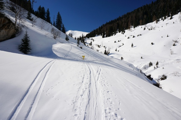 Vom Schranken ins Almgelände. Auf der nordseitigen Straße liegt noch genügend Schnee für eine Abfahrt bis zum Auto.