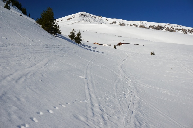 Oberhalb der Baumgrenze zur Gadauner Hochalm. Links der Hütten erkennt man 2 Skitourengeher, die heute den ganzen Anstieg über vor mir gehen sollten.