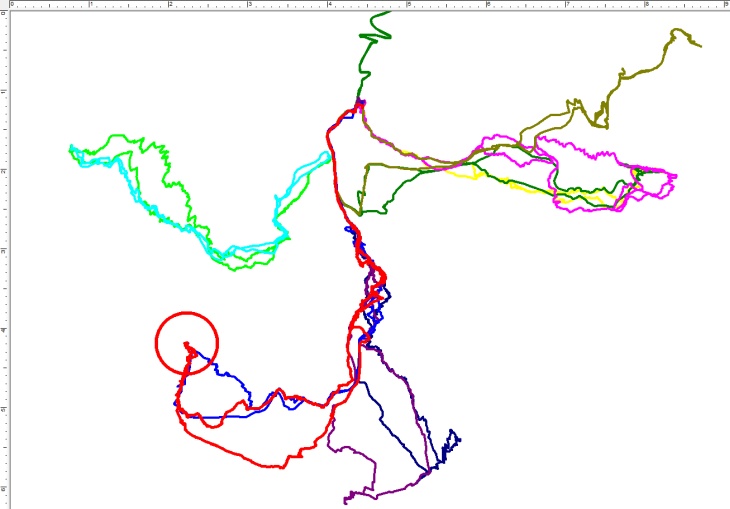 Bisherige Skitouren mit Ausgangspunkt in Kolm-Saigurn. Rot ist die aktuelle Skitour auf den Hohen Sonnblick (blau die Route von 2006).