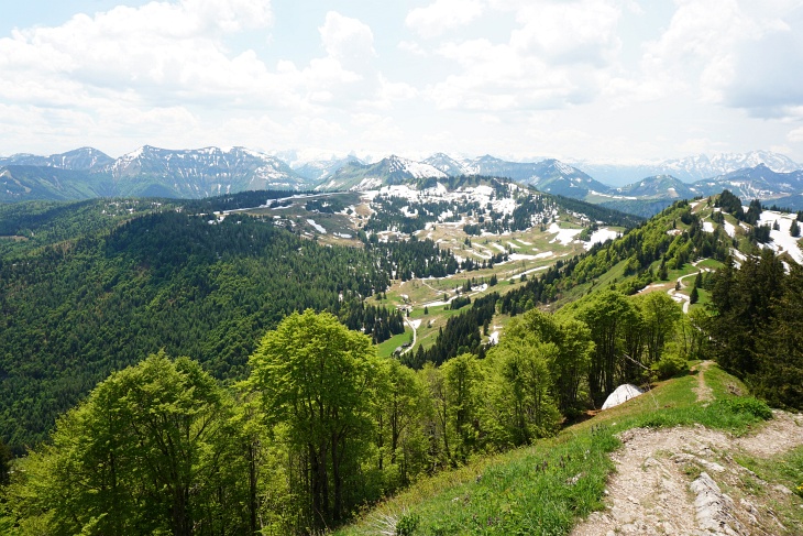 Der erste Abschnitt unserer Wanderroute im Überblick. Etwa in Bildmitte die Illingerbergalm. Links hinauf zum Spitzeck. Rechts der Illingerberg.