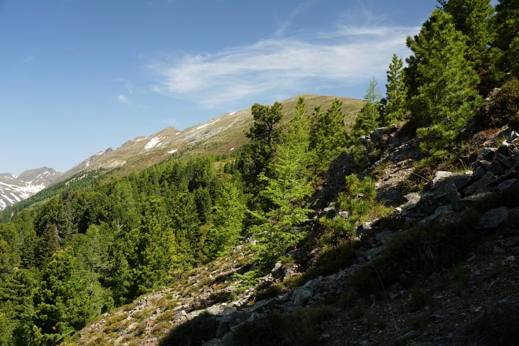An der Waldgrenze kann ich jetzt erstmals den Höhenzug erkennen, den ich in der Folge überschreiten werde.