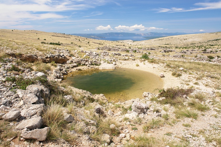 Eine Wasserstelle namens Spuhotina in der kargen Wildnis, die etliche Frösche beherbergt.