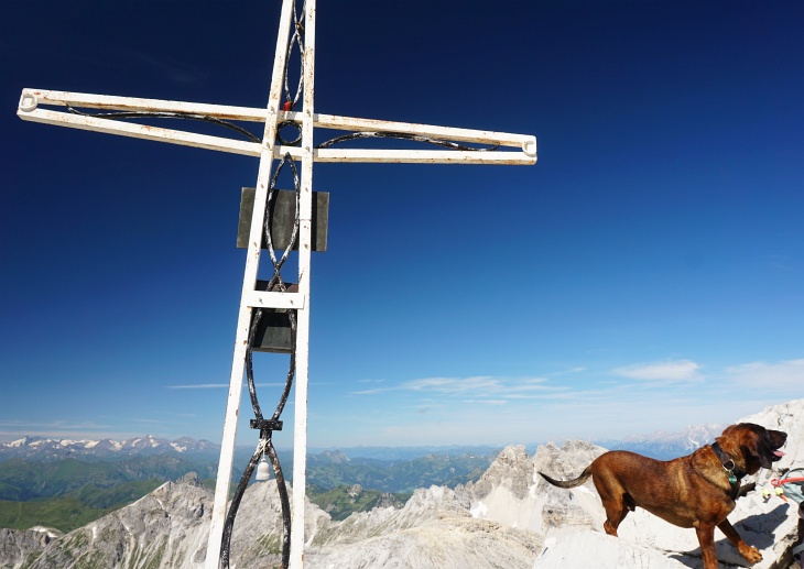 Auch "Herr Hund" hat es bis zum Gipfelkreuz geschafft. Einige Kinder, manche kam über 10 Jahre, zählten heute ebenfalls zu den Gipfelaspiranten.