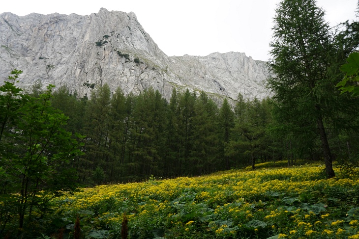 Die über das Hochplateau so einfach erreichbaren Hügelkuppen fallen etliche hundert Meter schoff ins Tal ab.
