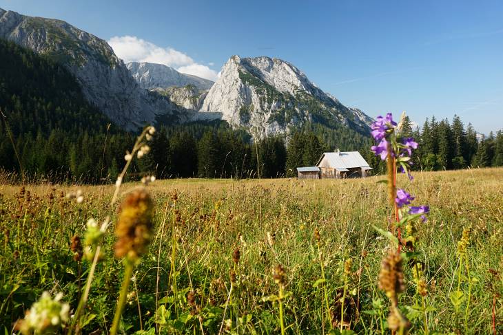Kurz nach der Edelbodenalm überhole ich ein Wanderer-Paar, ansonsten ist mir auf der Hochschwab-Nordseite heute niemand begegnet (abgesehen von etlichen Gämsen).