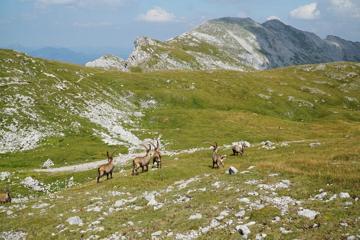 ... und zumindest im Norden richtig schön. Dennoch muss ich mich losreissen und mache mich wieder auf den Weg zurück. Vor mir der Ringkamp.