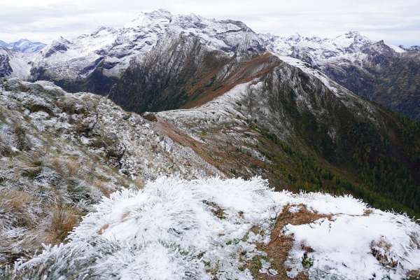 Blick vom Pleschnitzzinken zur Hochwildstelle
