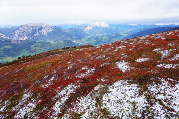 Rot ist unterhalb der Schneegrenze heute die dominierende Farbe
