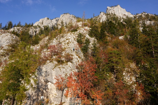 Herbstfarben beim Einstieg in den Naturfreundesteig, der am Nachmittag bei unserer Rückkehr in der Sonne liegt.