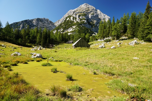Am Rückweg von der Heßhütte über das Almgelaende nach Johnsbach