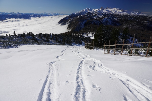 Neben Schneeschuhspuren und eltichen Wanderer-Spuren waren auf der ehemaligen Skipiste am Stoderzinken auch bereits Schispuren vorhanden. Mehr als 200 Höhenmeter gibt die Schneehöhe aber noch nicht her.
