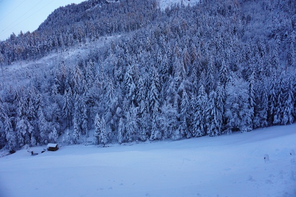 Winterlich präsentiert sich der Wald auch in Talnähe beim Ausgangspunkt meiner Tour beim Abenteuerpark-Parkplatz.