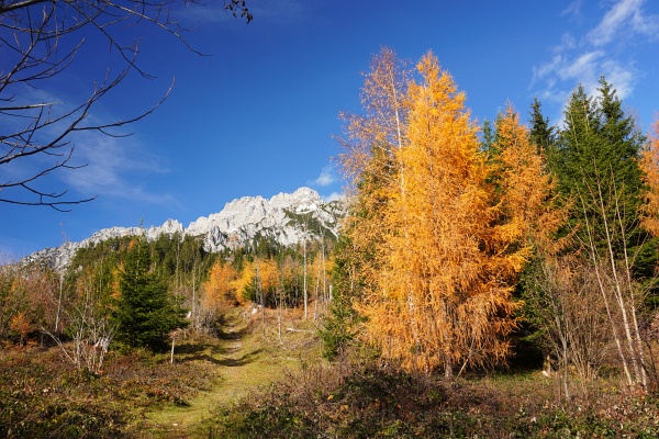 Oberhalb von Gröbming gibt es noch durchaus schöne Herbstfarben