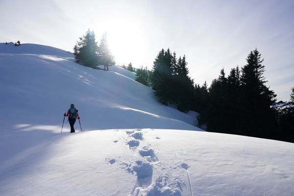 Die letzten Meter zum Gipfelkreuz am Kochofen. Für Schneeschuhe liegt auf jeden Fall schon ausreichend Schnee - sogar eine Schispur war schon vorhanden.