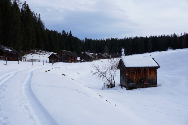 Bis zur Viehbergalm war es abschnittsweise aper bzw. gespurt: Fußspuren über den Wurf, Autospuren auf der Alm und sogar Schispuren.