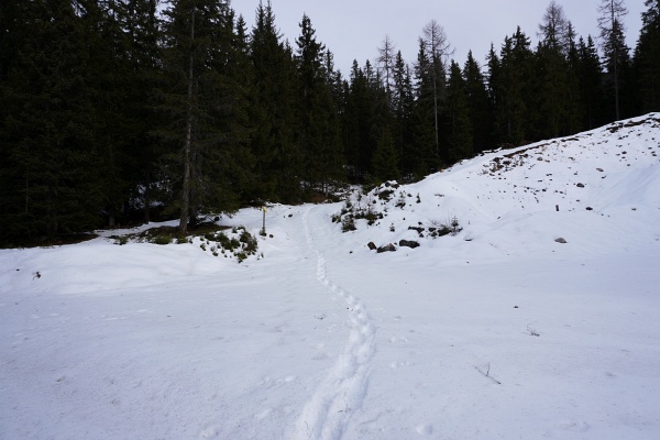 Von der Viehbergalm bis zum Hochmuehleck durfte dann ich meine Schneeschuhspuren in den jungfräulichen Schnee setzen.
