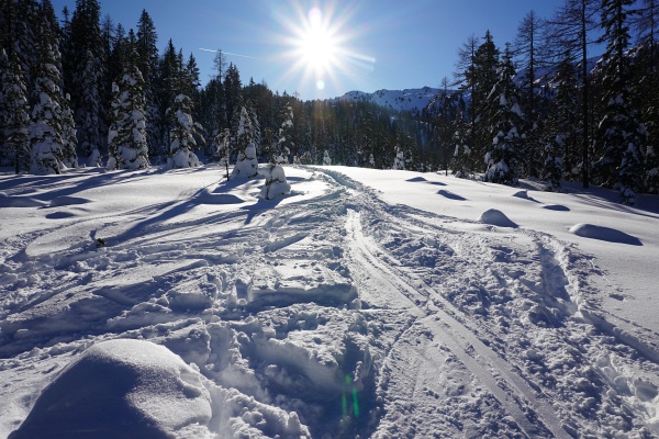 Bis zur Wolfnalm im Schatten, dann nach 600 Höhenmeter endlich in die Sonne. So einsam wie vor 15 Jahren ist es hier nicht mehr.