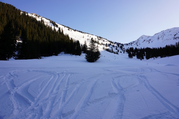 Nach dem gestrigen tollen Pulverschnee am Bärneck erhoffte ich mir heute ähnlich gute Schneeverhältnisse. Allerdings ist der untere Tourenabschnitt schon arg zerfahren. Verlockenden lockeren Schnee gibt es erst ab der Horningalm.