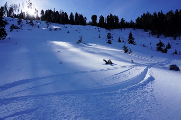 Nachdem ich mich bei meiner letzten Skitour am 29.02.2020 auf den Stoderzinken doch etwas schinden musste (700 Höhenmeter Spurarbeit im Aufstieg mit teils mühsamen Anstollen und auch Spurarbeit in den Flachstücken bei der Abfahrt), wurden wir heute mit tollen Pulverschneeverhältnissen belohnt.