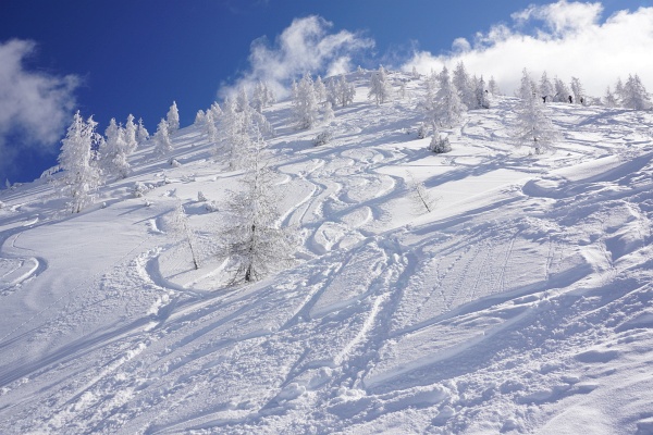 Die letzten 100 Höhenmeter auf den Lackenkogel. Alleine sind wir an diesem sonnigen Sonntag mit traumhaften Pulverschnee natürlich nicht. Unberührte Fleckerln lassen sich dennoch finden.