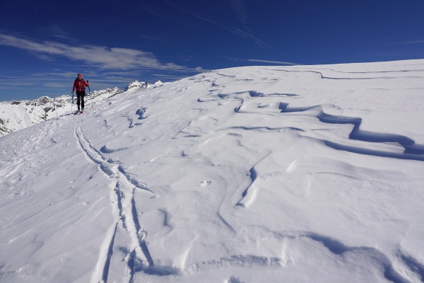 Den Honigleitenkogel selbst lassen wir links liegen und erklären den etwas höheren überwechteten Nachbargipfel im Südwesten zu unserem Tourenziel.