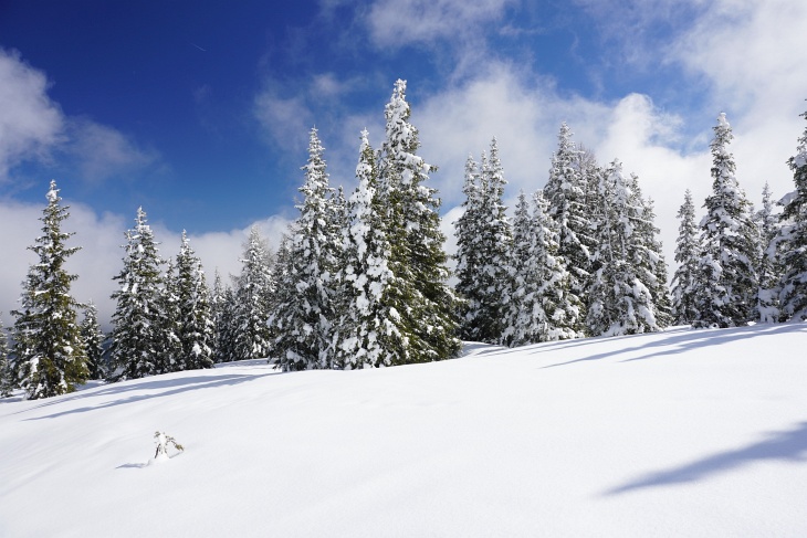 Den Denunzianten, die einem den Vogel zeigen, wenn sie die Tourenski sehen oder die gleich losmaulen, dass Tourengehen jetzt sowie verboten ist, ins Stammbuch geschrieben. Nicht jeder Aufenthalt in Wald und Wiese ist jetzt lebensgefährlich.